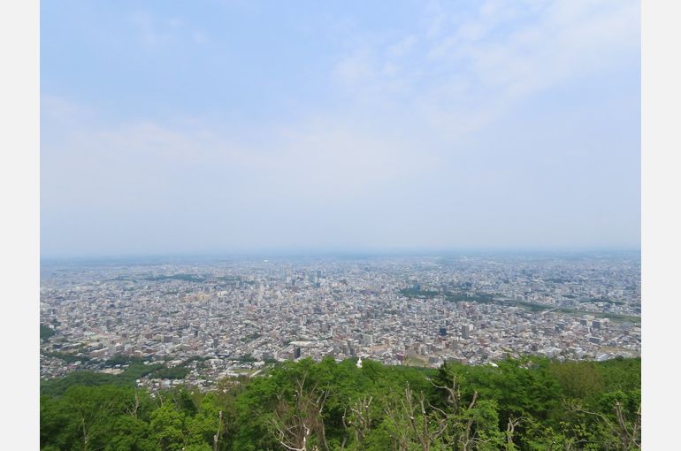 もいわ山　武ダGEAD　イエロースターズ