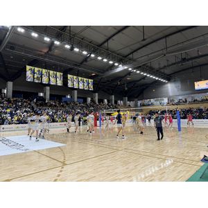 札幌,バレーボール,イエロースターズ